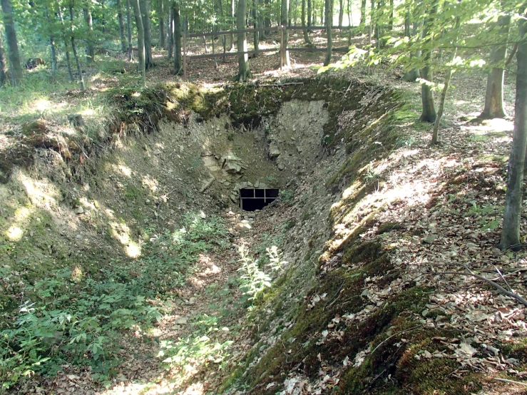 a hole is shown on the ground in the woods