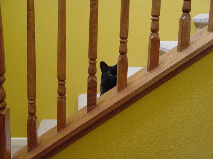 a black cat is peeking out from behind the banister