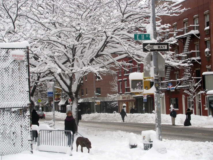 several people stand in the middle of a snowy street