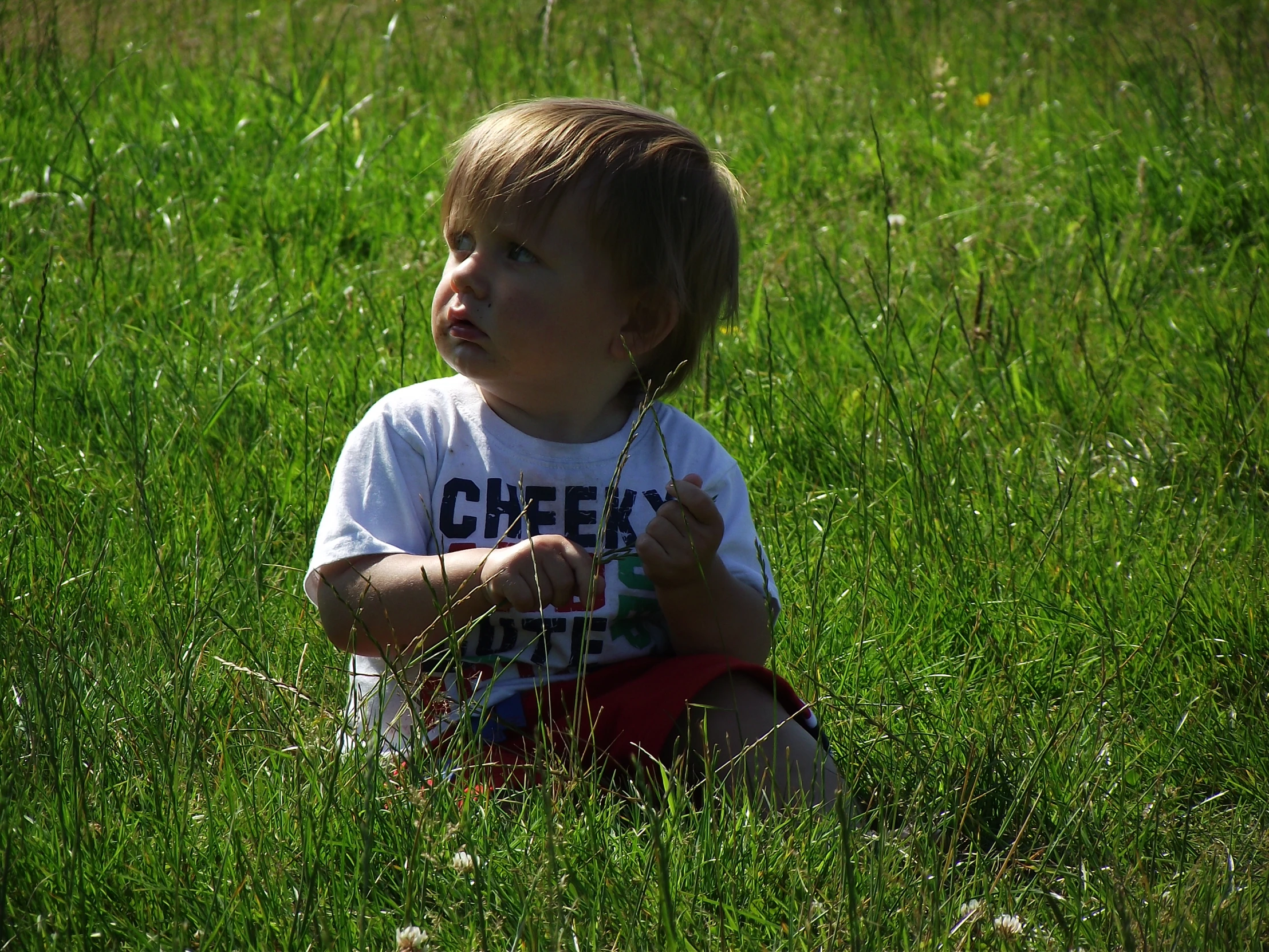 a child with the tag chews on grass