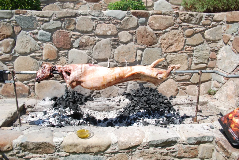 a large dog flying off an outdoor grill