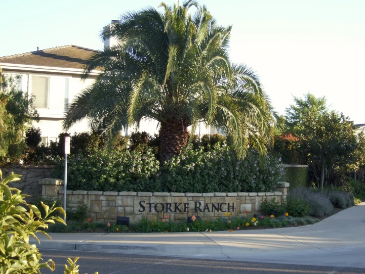 trees and shrubs surround the entrance sign to store ranch