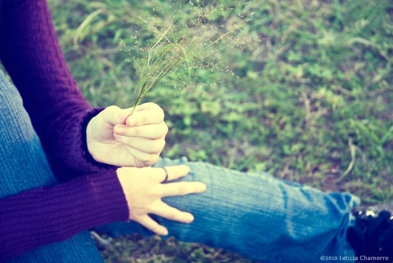 a hand holding out the tip of a plant