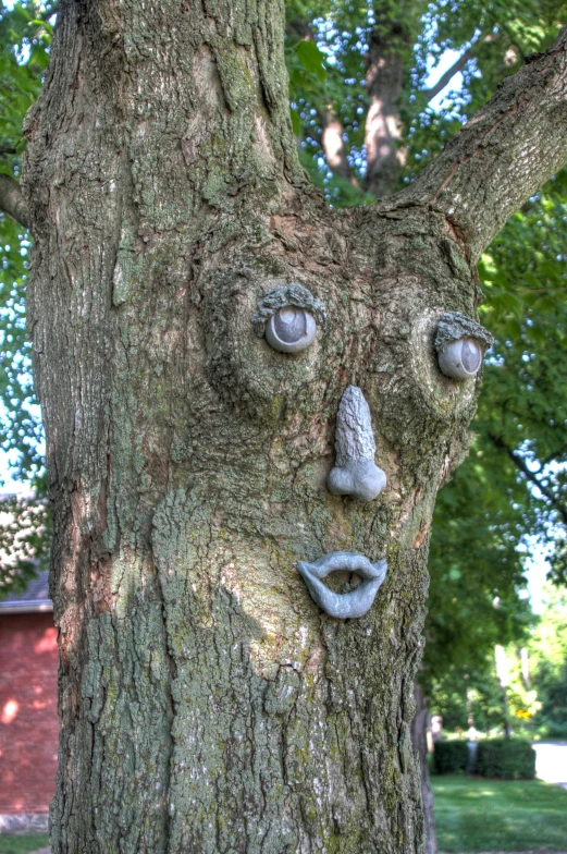 an image of a tree that is carved into it