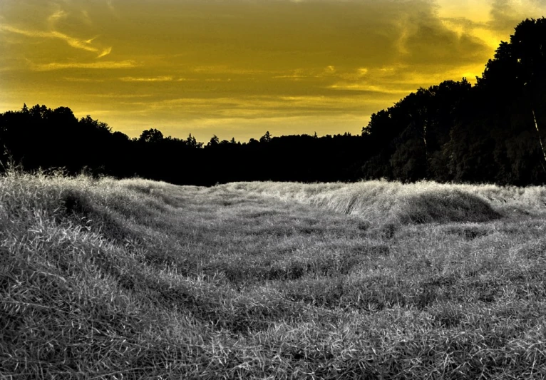 a black and white po of an open field