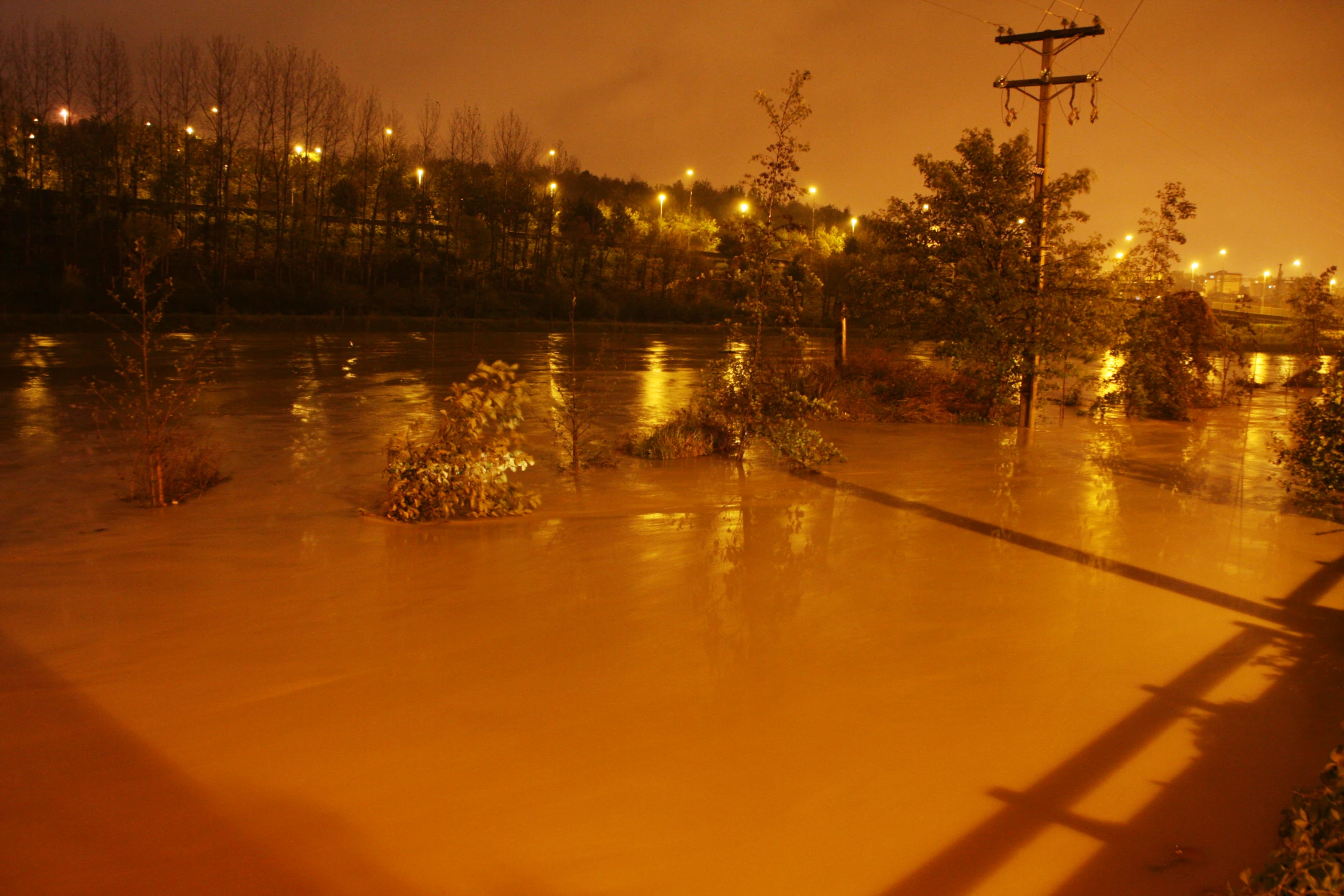 a flooded area near the roadway with lots of trees