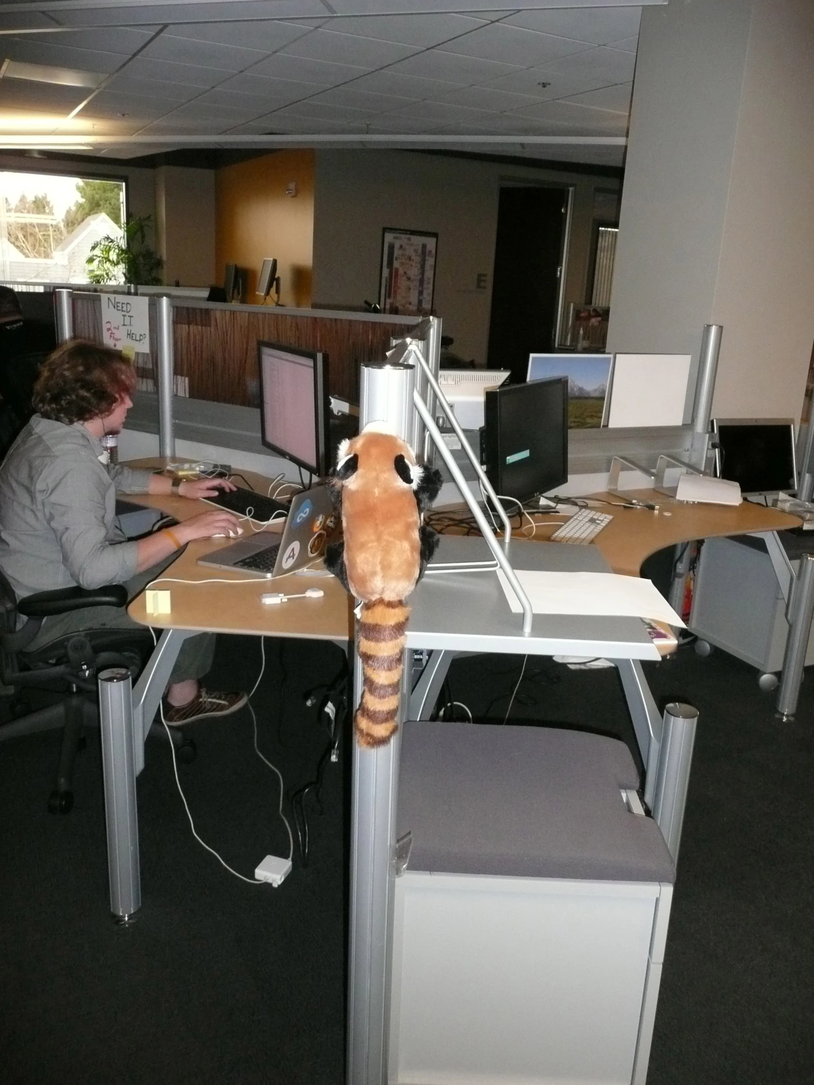 a cat is laying on the desk in an office