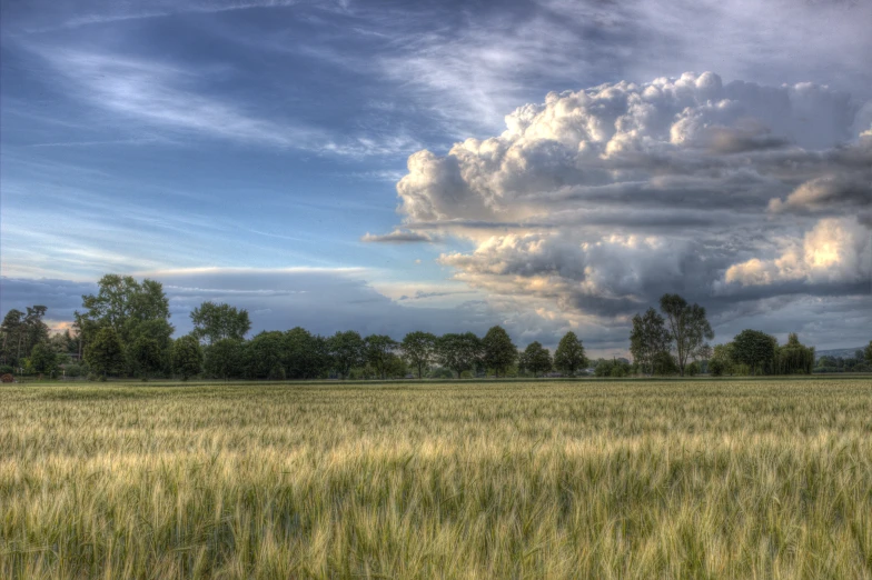 storm clouds gather over the trees and a field