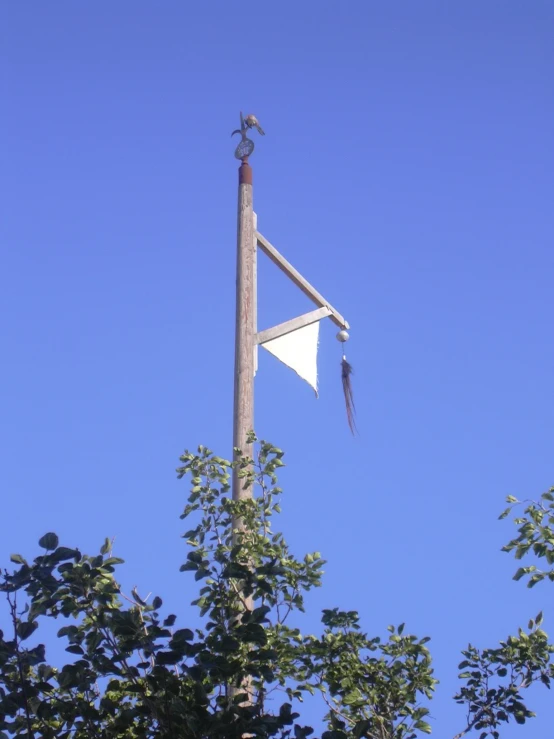 an odd shaped bird perched on a flagpole