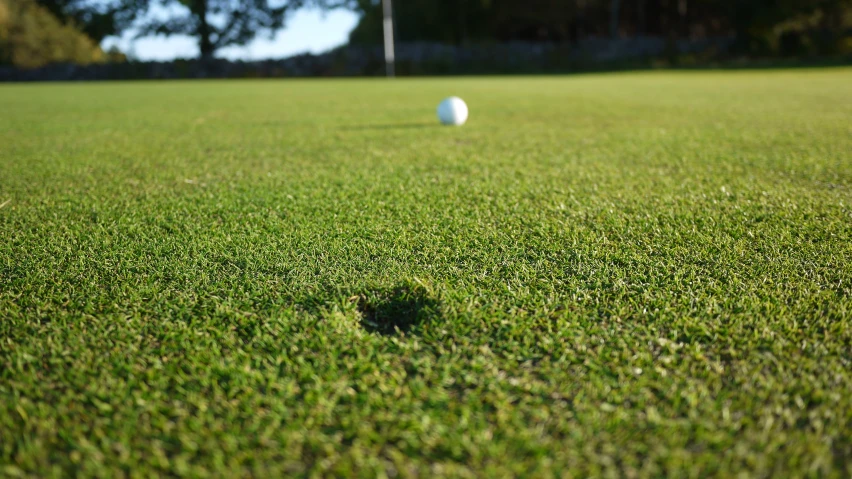 an empty ball is left on the grassy field