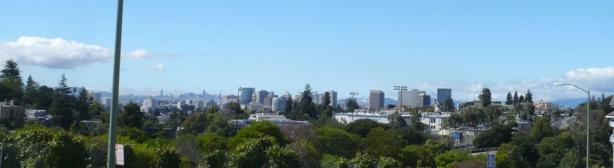 a city is seen in the distance behind a lot of trees