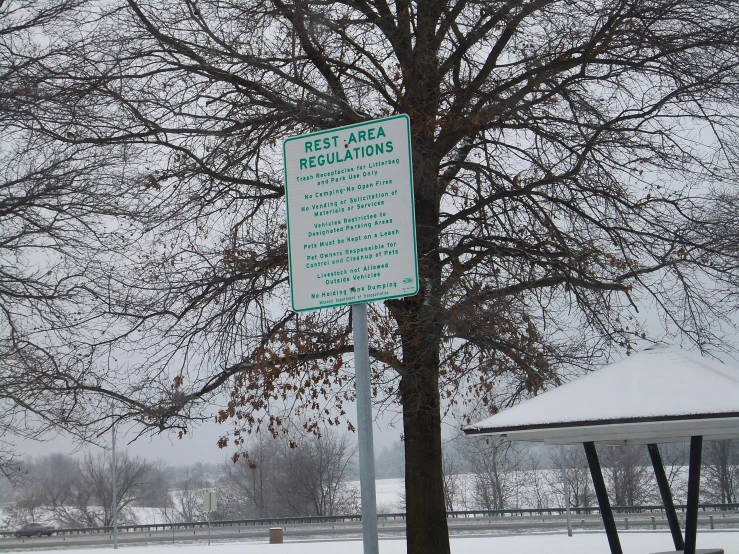 a green sign posted under a tree near some snow