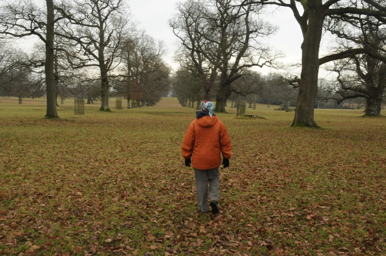 a person in a orange coat walks through a leaf strewn park
