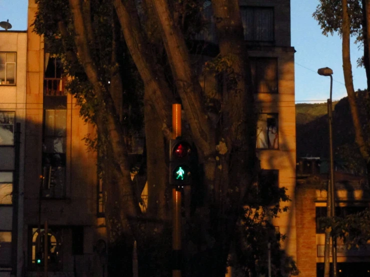 traffic light in dark shadow of building in daytime