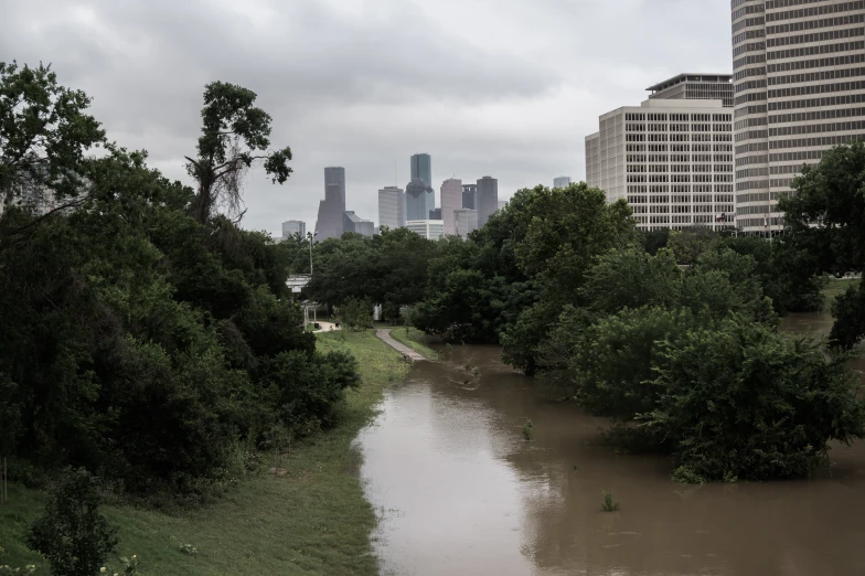 trees and a city line the bank of a flooded river