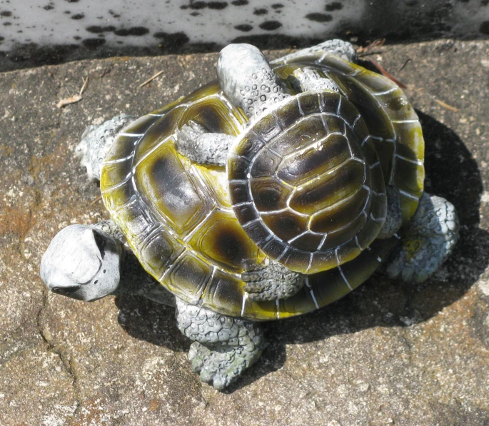 an image of a small turtle statue on the sidewalk