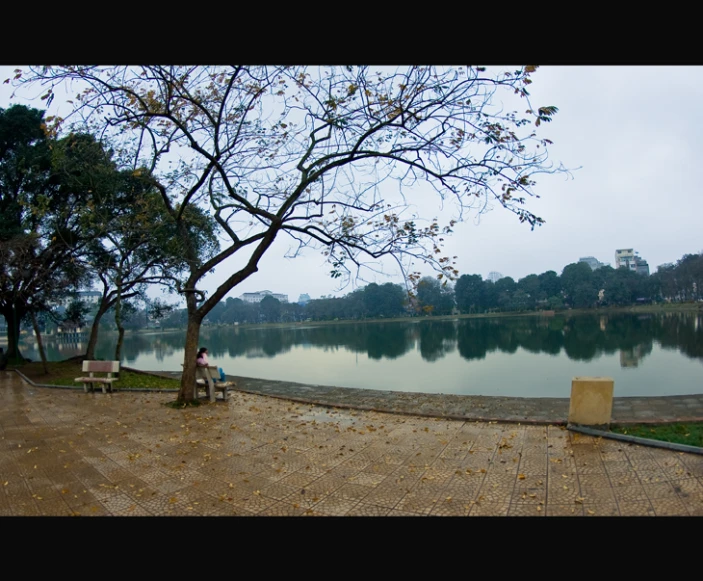 the person sits alone on the park bench near the water