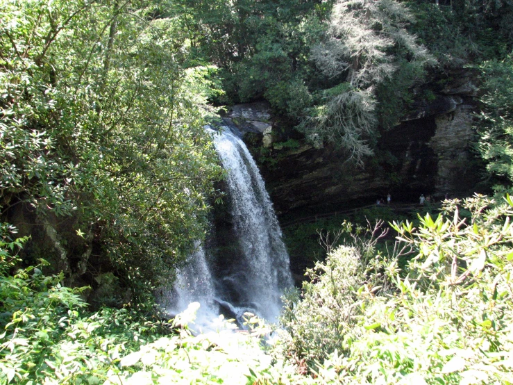 some very nice looking waterfalls and trees