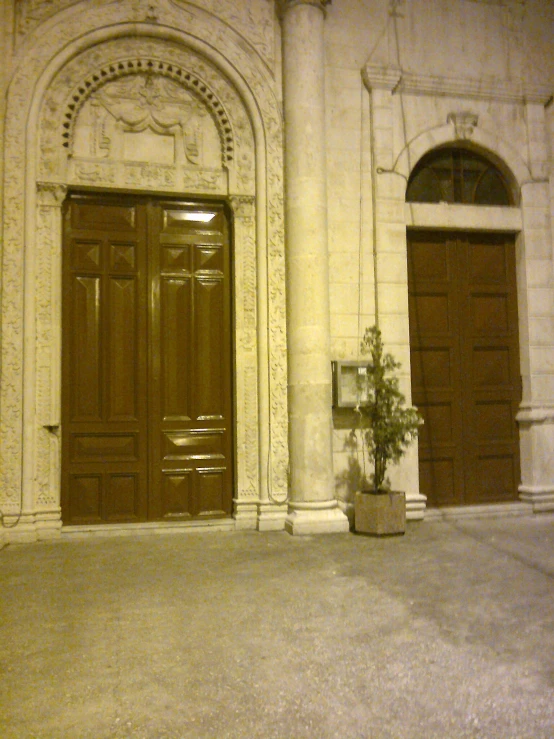 two large brown doors are near a tree