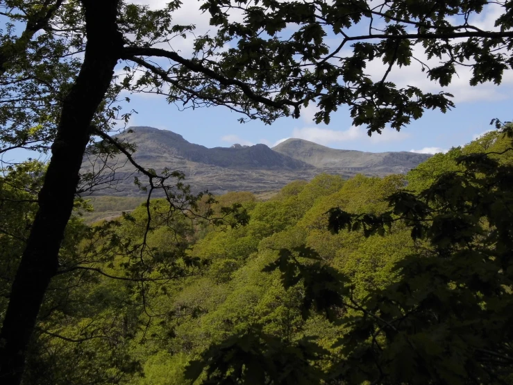 a landscape image of a mountains and tree line with clouds