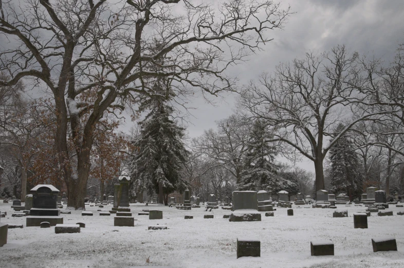 a cemetery surrounded by snow covered trees