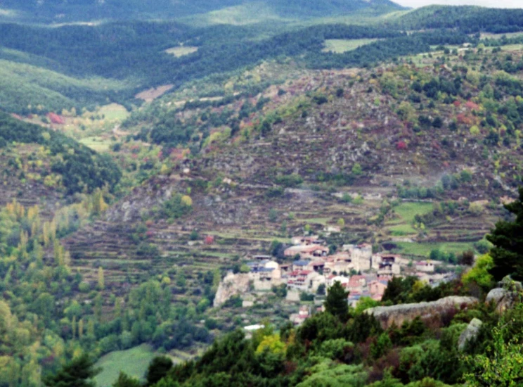 small village in the green mountains by the tree line