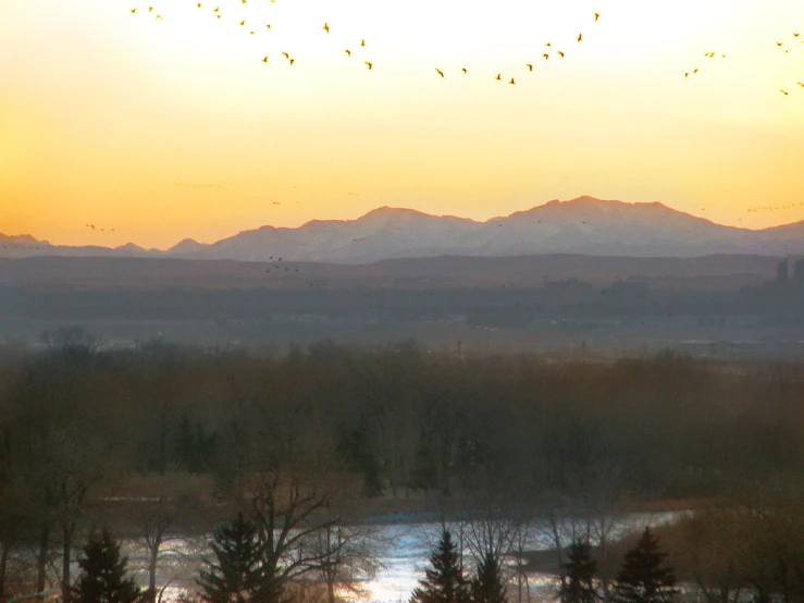 a large flock of birds flying over a mountain range