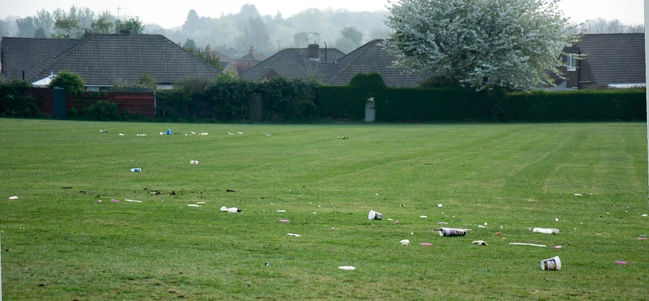 sheep on the grass with houses in the background