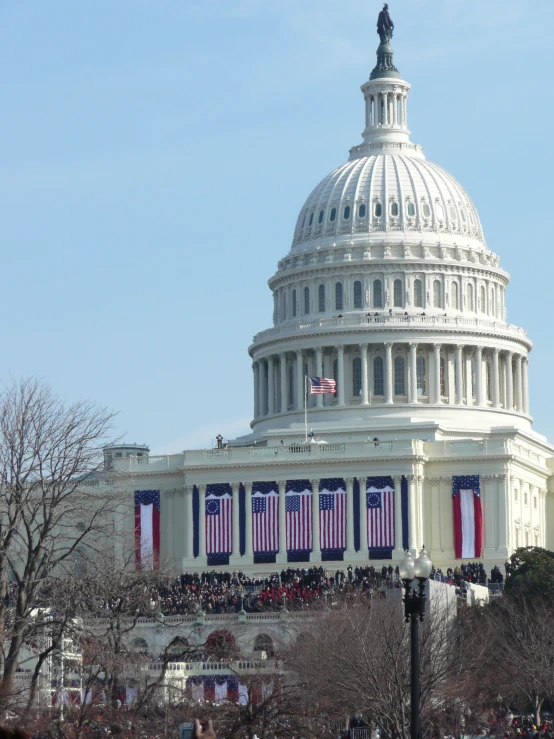 the view of the united states capitol building with a parade of people