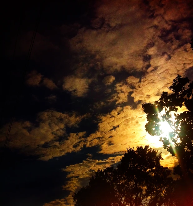 a tree is lit up against a cloudy sky