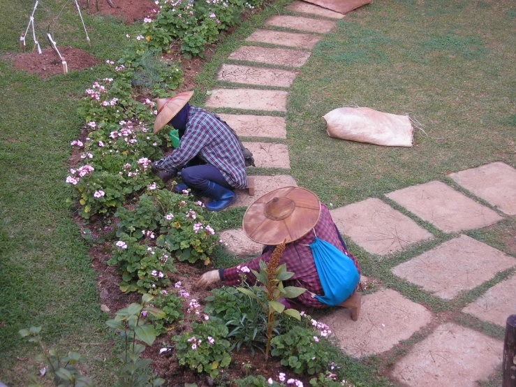 the man is sitting in front of his flower garden