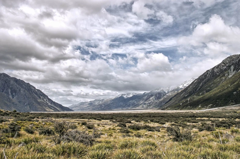 an open field with a few grass growing in it