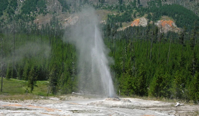 a geyser spewing water from its side next to a wooded area