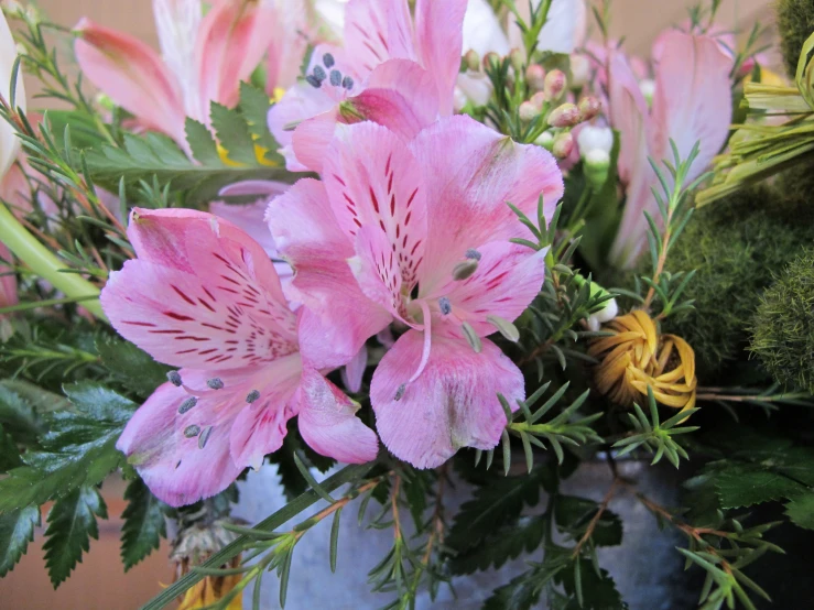 the pink flowers are ready to be put into the bouquet