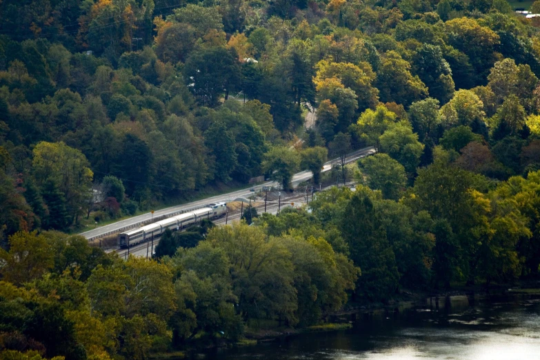 an aerial view of a forest with train tracks and trees