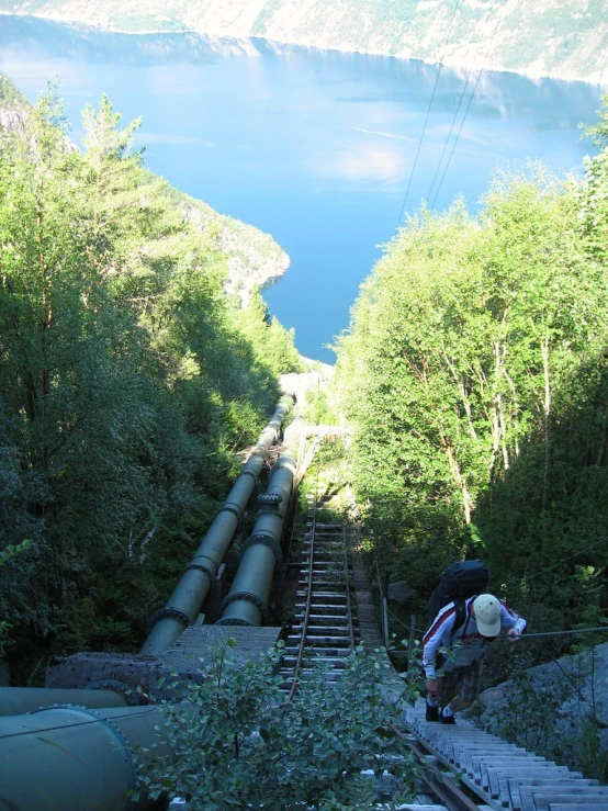 a train traveling down tracks next to lush green trees