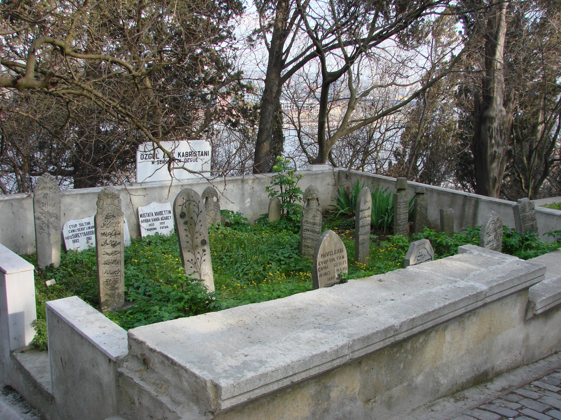 tombstones surrounded by plants and trees in a field