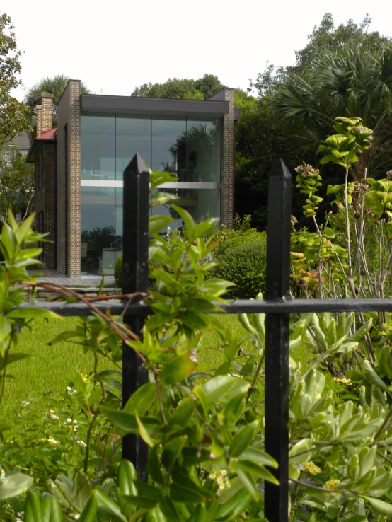 there is a green grass garden in front of an glass window