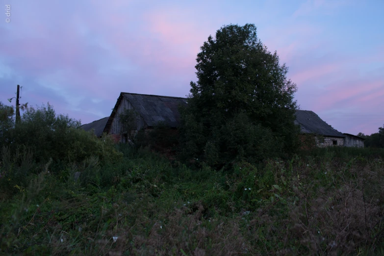 a wooden house sits in an overgrown field at dusk