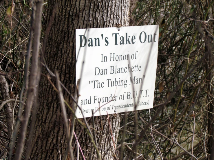 a sign is posted to the bark of a tree