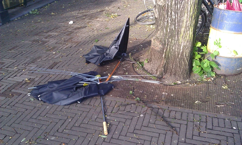 an umbrella and other items sit near a tree