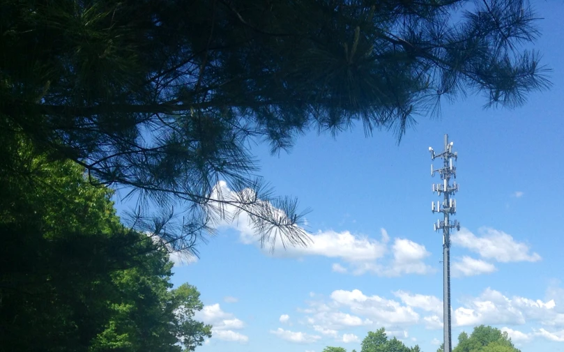 a cellphone tower with a forest behind it