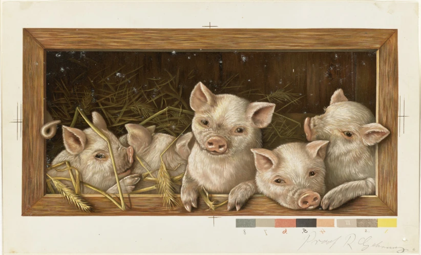 this is an image of a group of small pigs