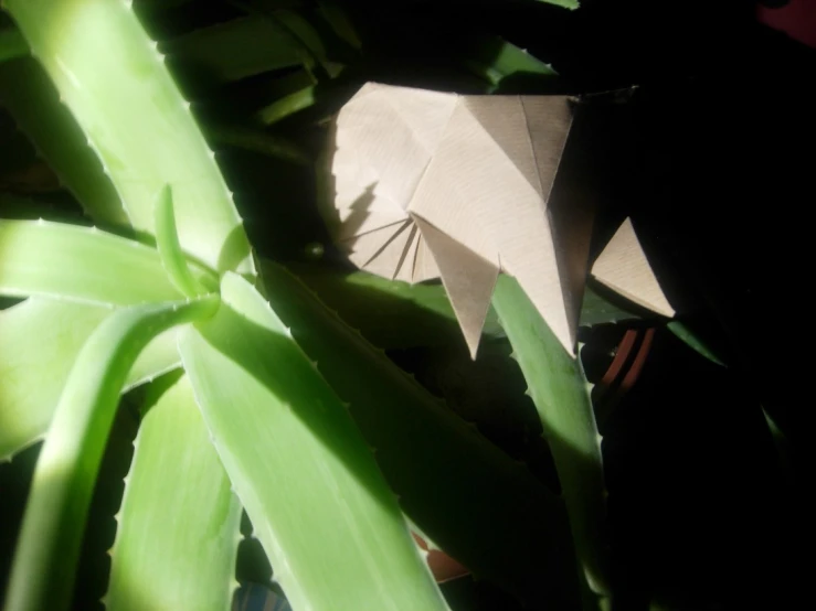 a paper boat sitting on top of a plant