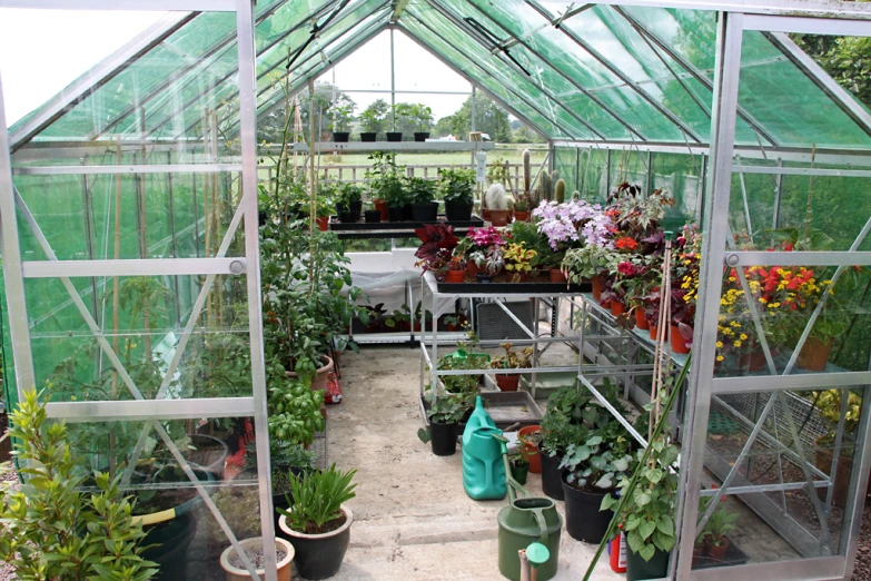 some pots and containers in the inside of a greenhouse