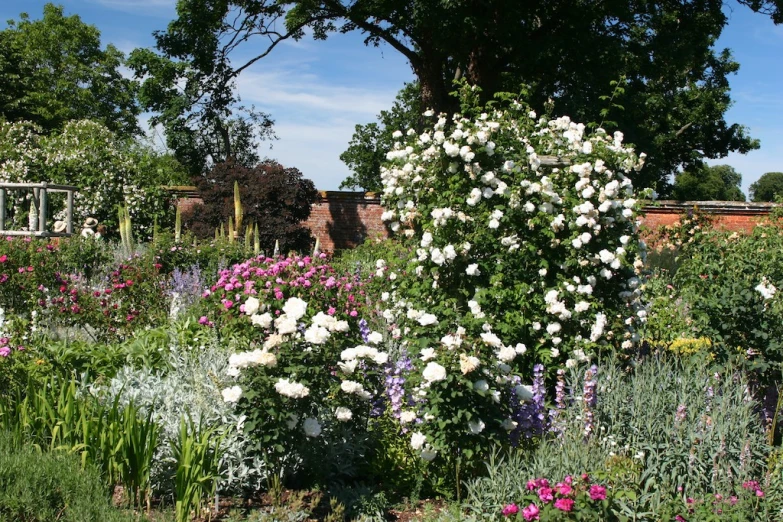 an allot of trees and a large flower bed