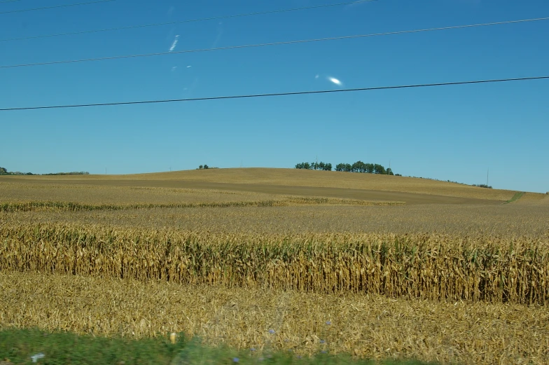 a big field with some dry grass on the side