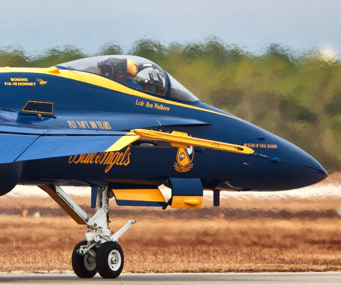 a blue and yellow airplane on a runway with trees in the background