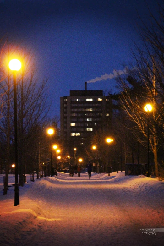 some light lights are in the snow at night