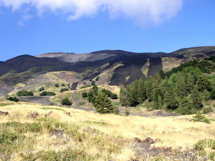 an open field with trees in front of mountains